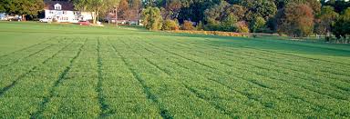 Residential Plot Is Available For Sale In Green Valley Block C