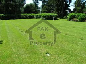 Residential Plot Is Available For Sale In Green Valley Block C