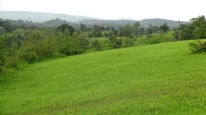 Residential Plot Is Available For Sale In Green Valley Block C