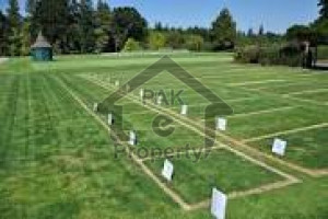 Residential Plot Is Available For Sale In Green Valley Block C