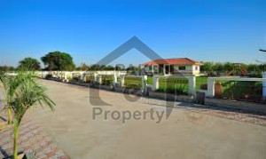 Residential Plot Is Available For Sale In Green Valley